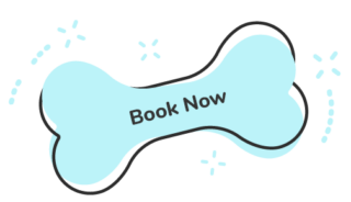 https://www.ramsaygrooming.com/wp-content/uploads/2019/07/text_03-1-320x184.png