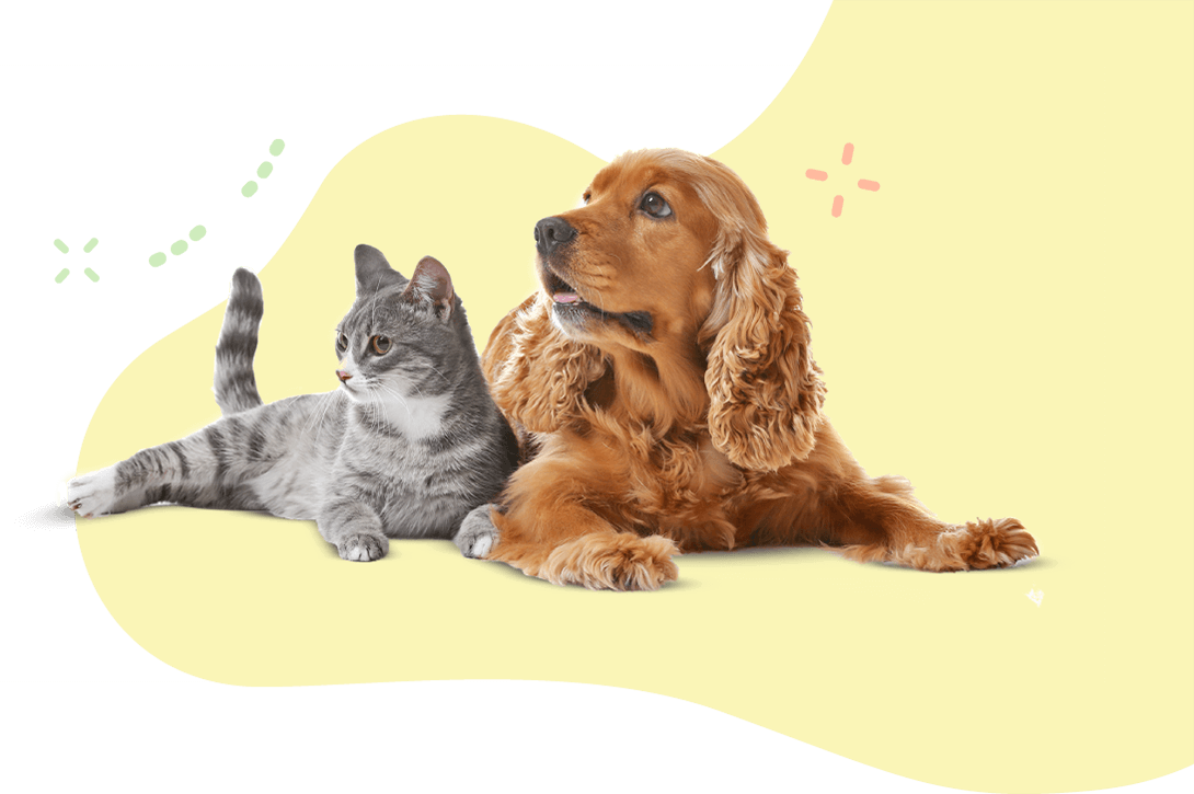 https://www.ramsaygrooming.com/wp-content/uploads/2019/08/hero_image_11.png